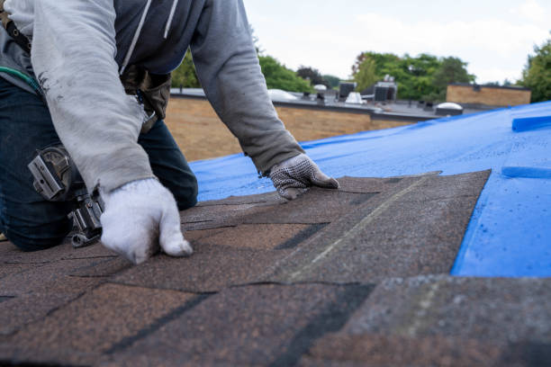 Best Metal Roofing Contractor  in Huntington, VA